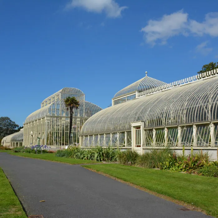Die National Botanic Gardens 7 Le National Botanic gardens de Glasnevin - Simon - cc