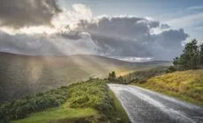 Die Old Military Road - © Dawid