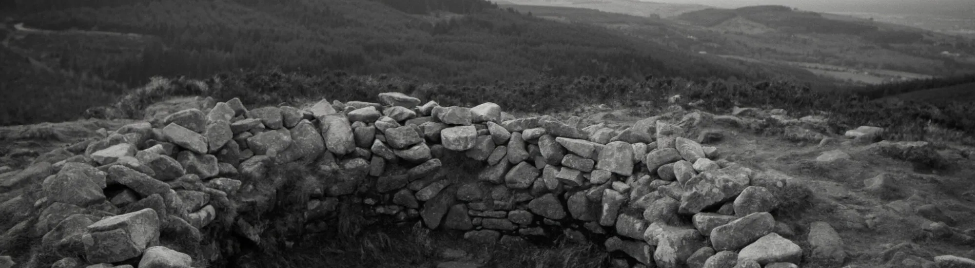Tibradden
