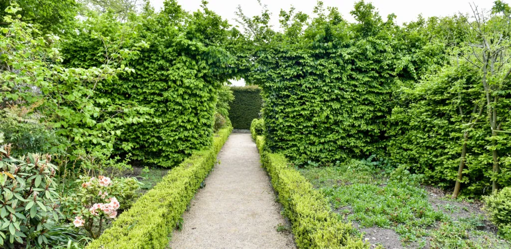 altamont gardens