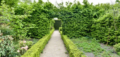 altamont gardens