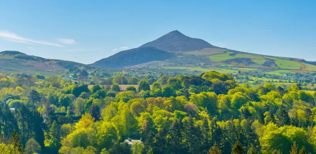 great sugar loaf