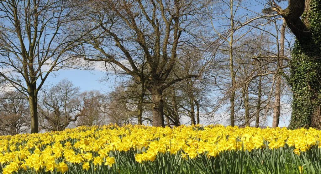 barnett demesne 1 scaled