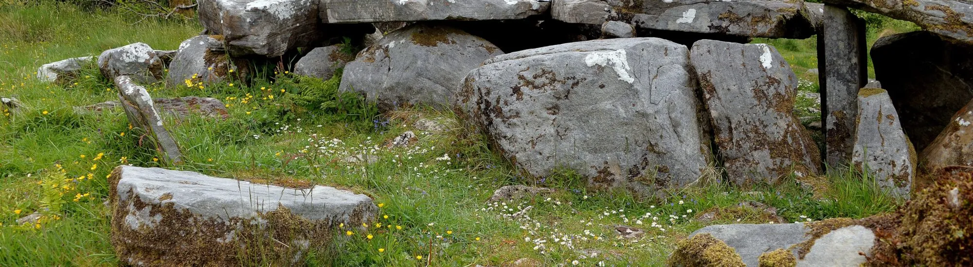 Cavan Burren Park