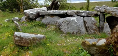 cavan burren park