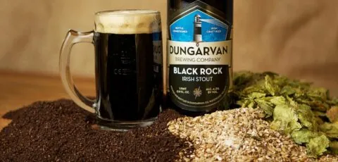 dungarvan brewing