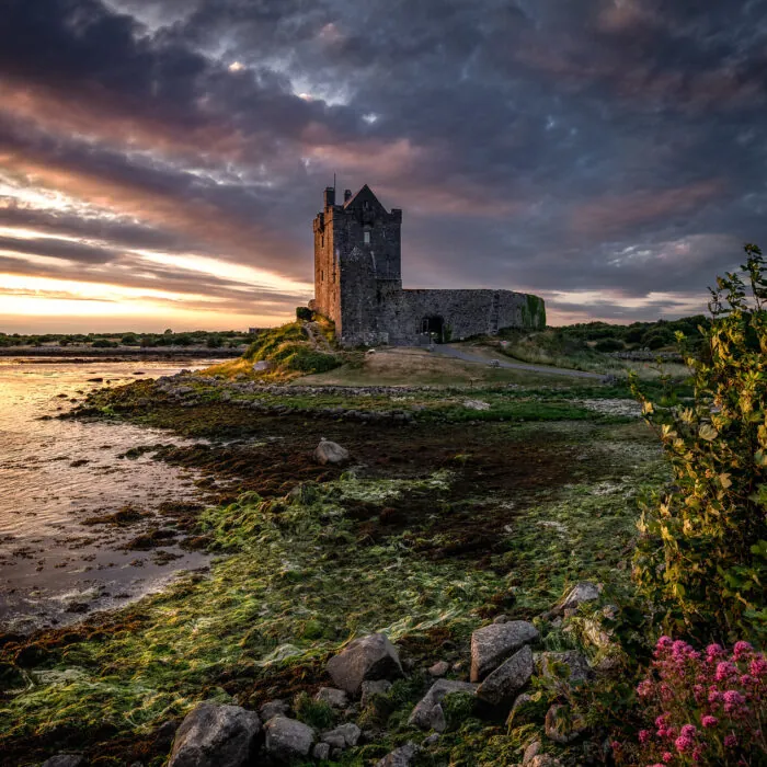 Das Dunguaire Castle in Kinvara - Bernd Thaller - cc