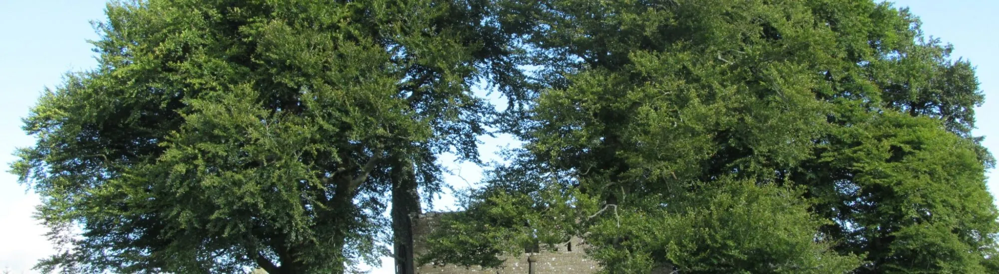Die Monaincha Abbey