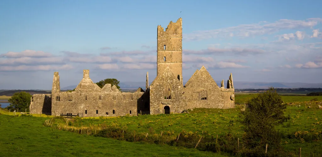 moyne abbey