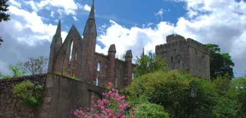 selskar abbey 2