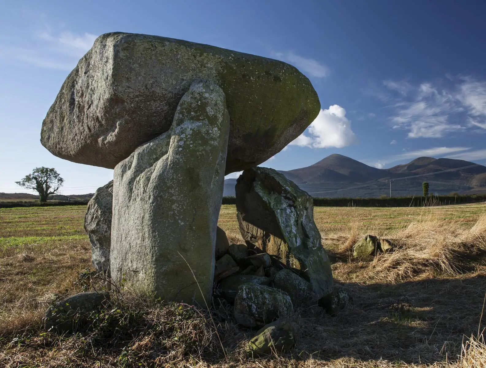 Der Dolmen von Slidderyford