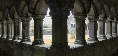 sligo abbey