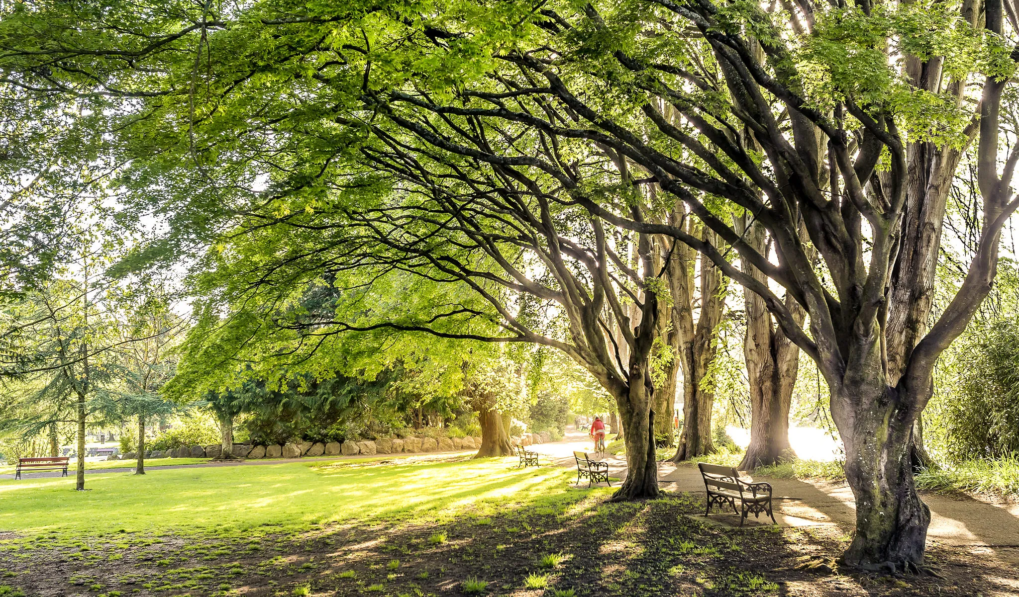 Fitzgerald Park