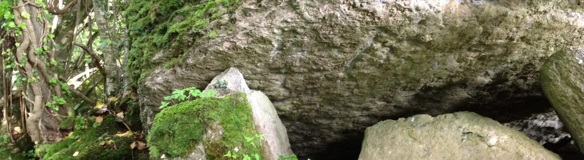 Der Meehambee Dolmen