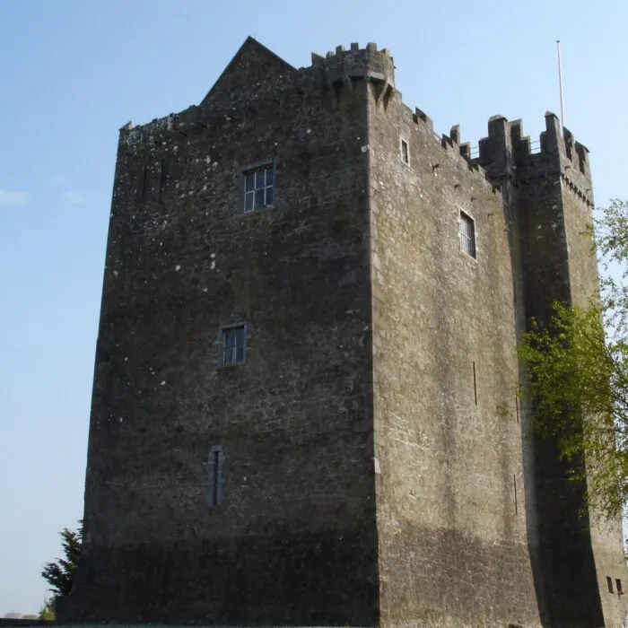 Le Redwood Castle - IrishFireside - cc
