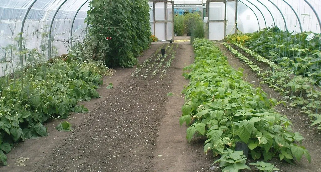 Das Organic Centre in Rossinver