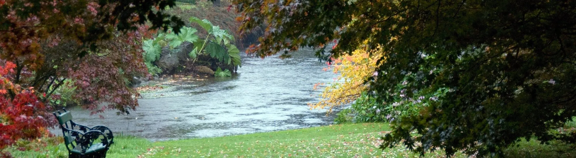Die Mount Usher Gardens