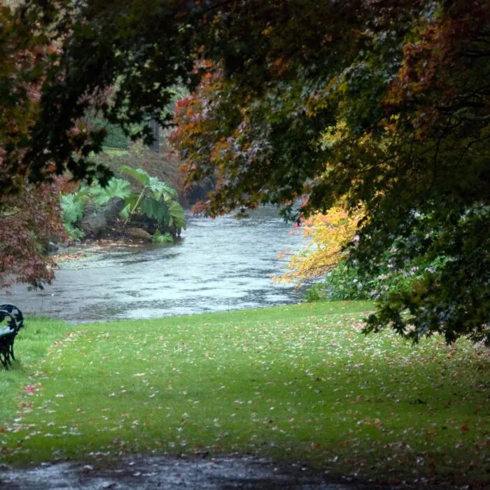 Les Mount Usher Gardens - Ben Crowe - cc