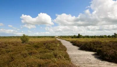 Das Corlea Trackway Visitor Centre 1 Das Corlea Bog – Kevin King – cc