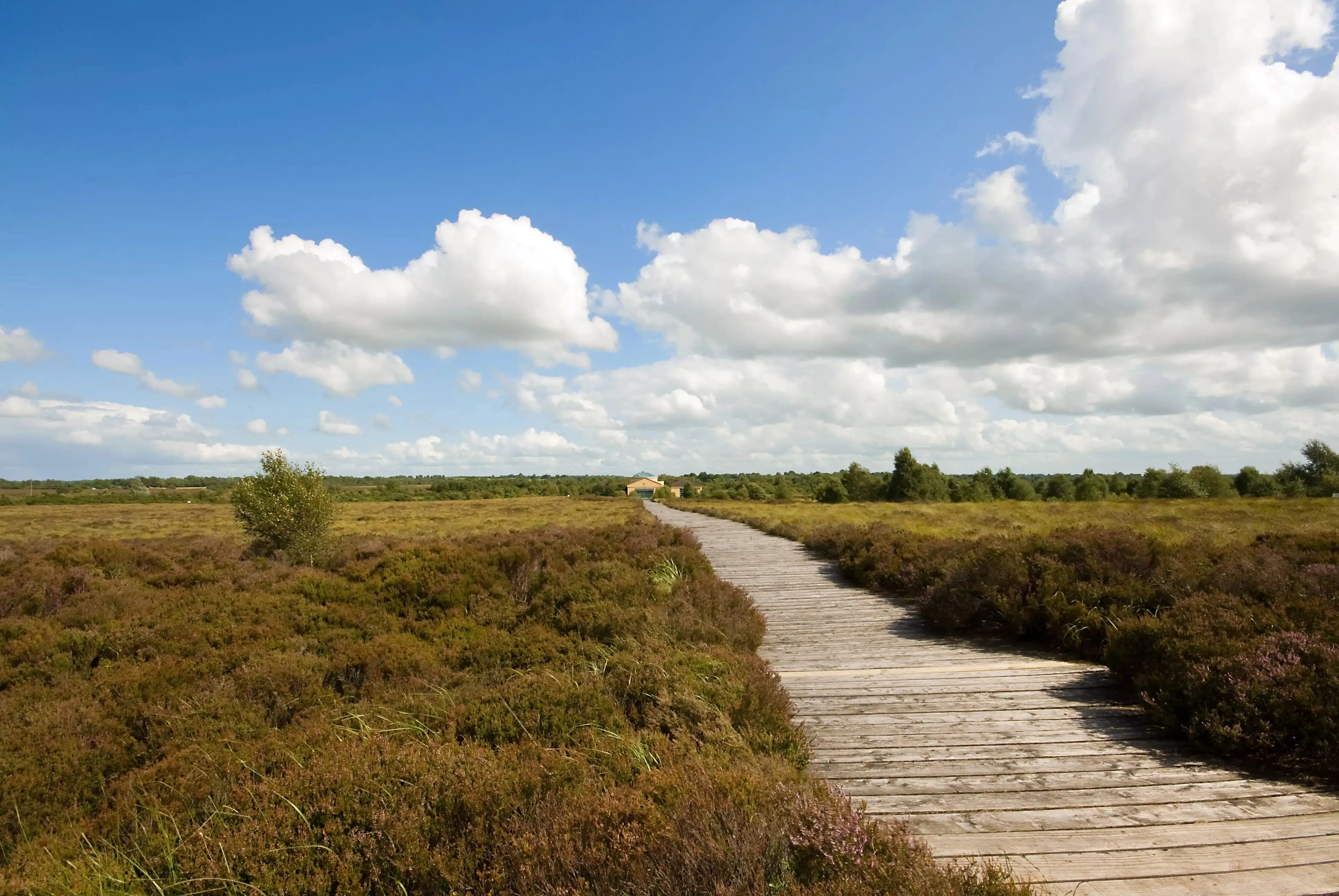 Das Corlea-Moor