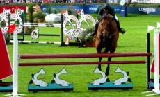 Le Dublin Horse Show - Alison Killilea - cc