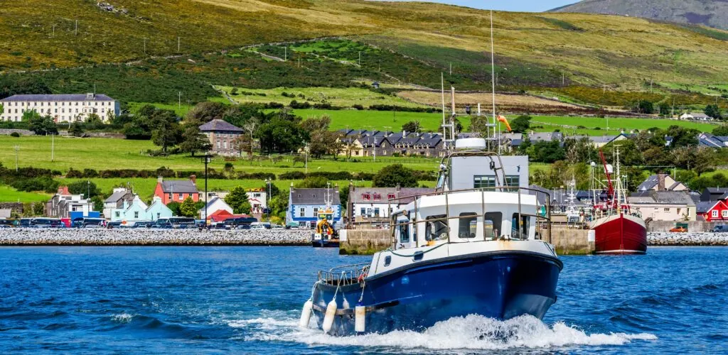 Dingle