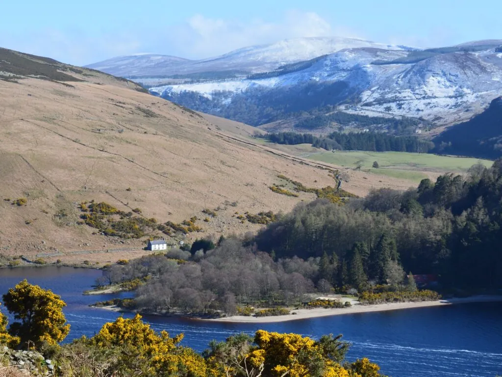 lough dan 1