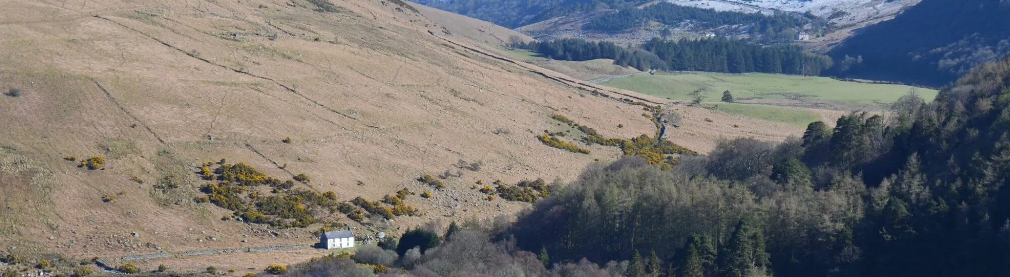 Der Lough Dan