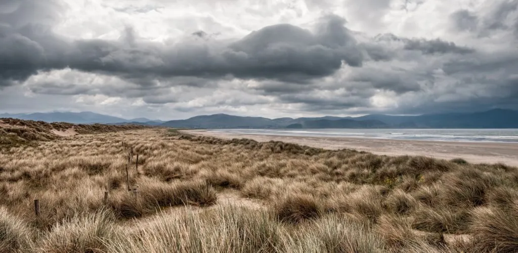 inch beach