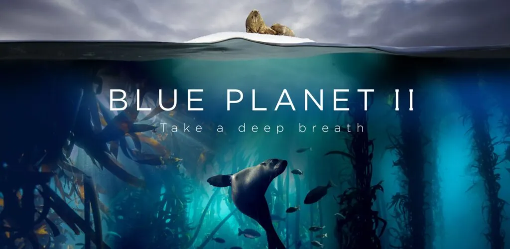 Blue Planet Live II kommt 2019 nach Dublin und Belfast