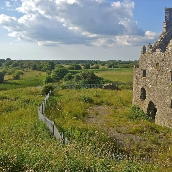 Terryland Castle