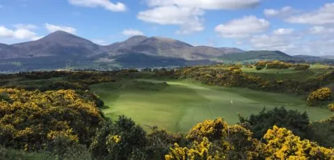 royal county down golf