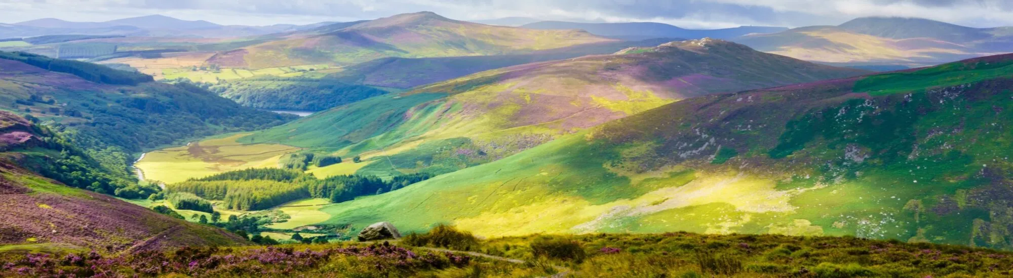 Der Wicklow Way