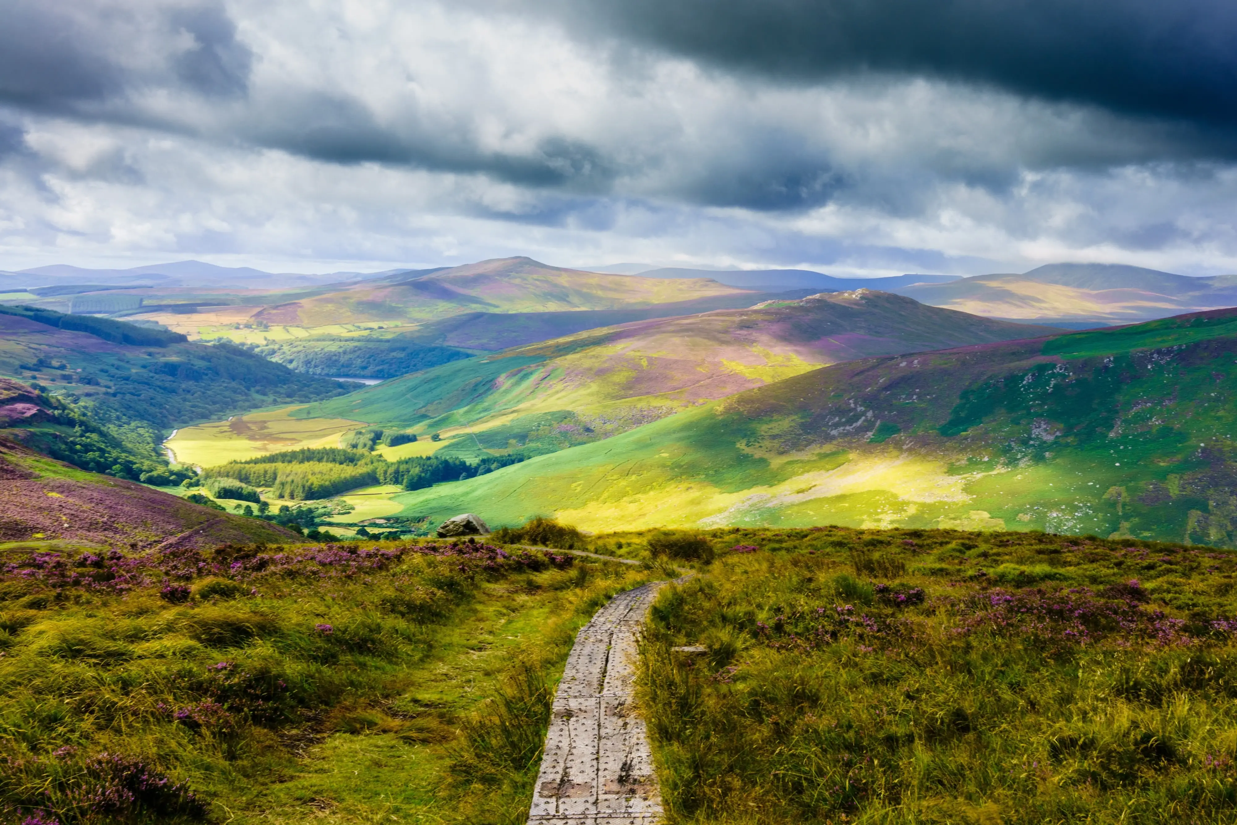 Der Wicklow Way - © Monsieur Olivier