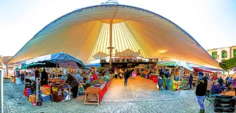 milk market