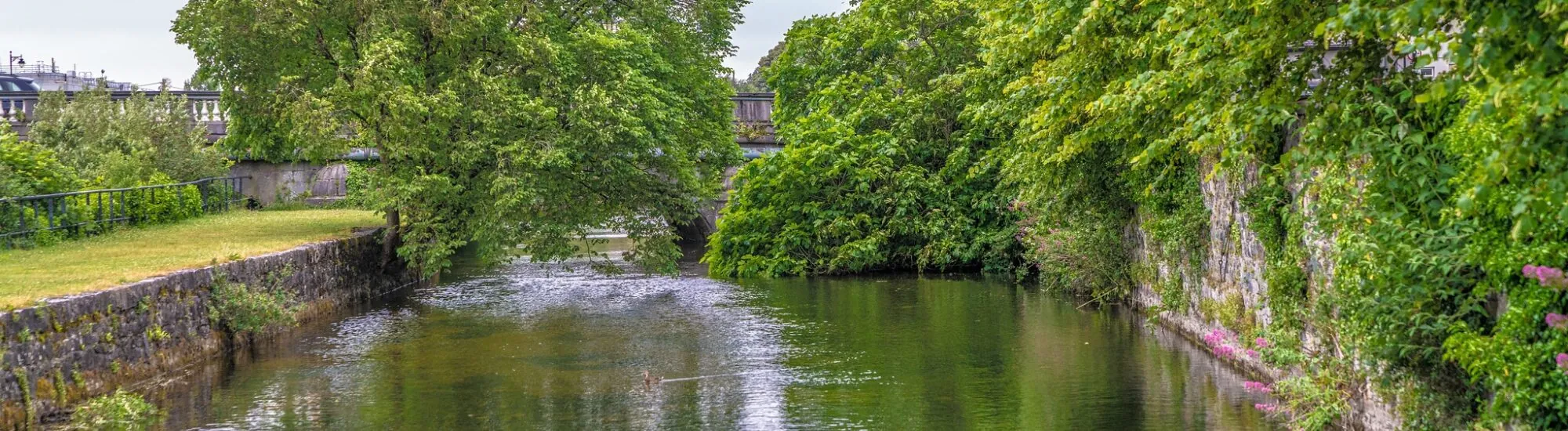 Der Corrib Walk
