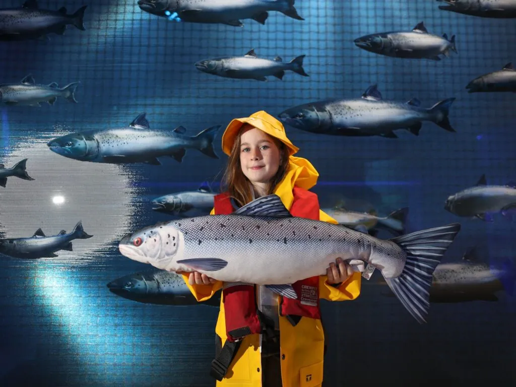 Taste The Atlantic - The Salmon Experience