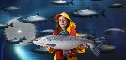 taste the atlantic salmon experience