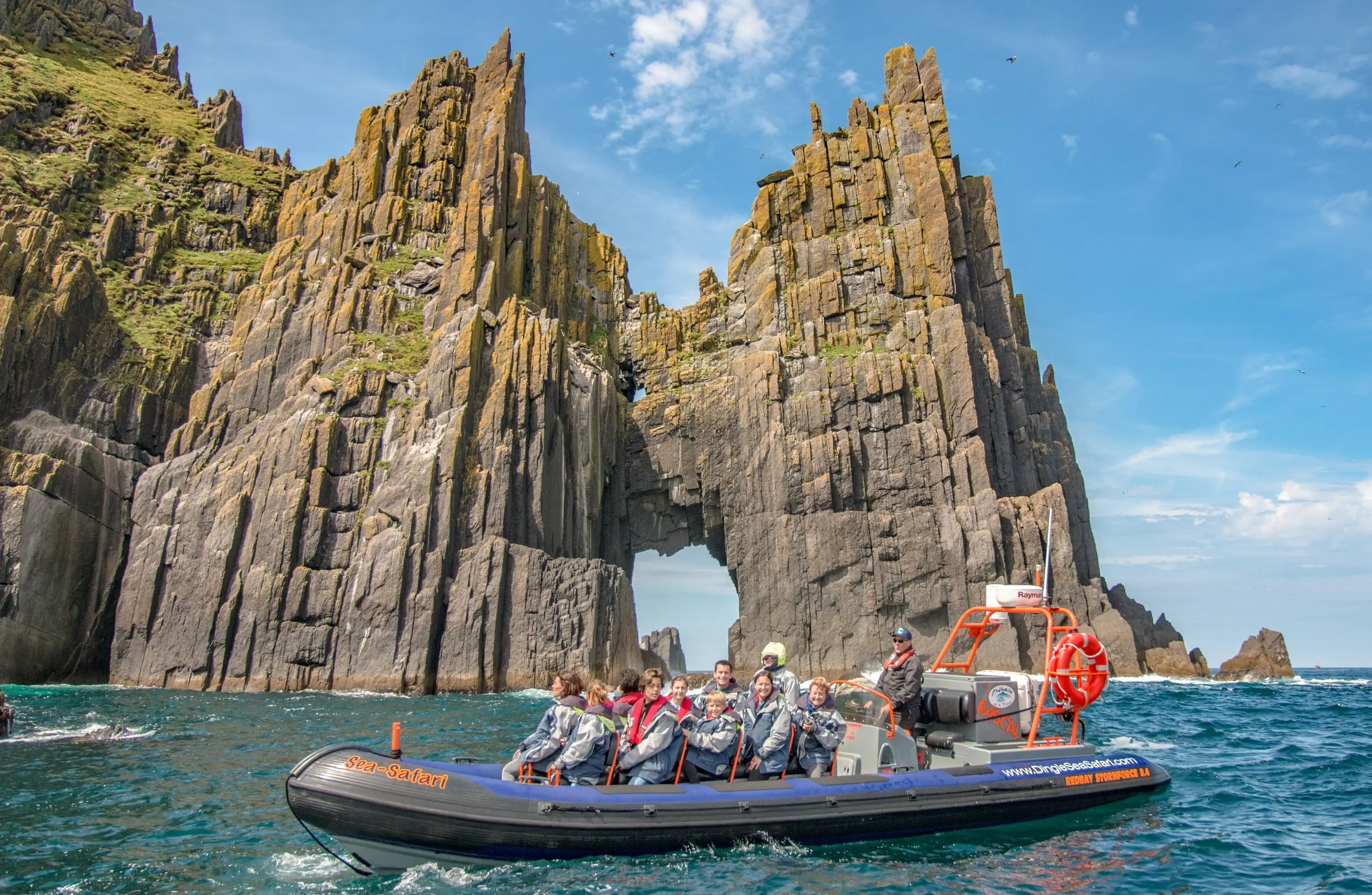 Die Dingle Sea Safari