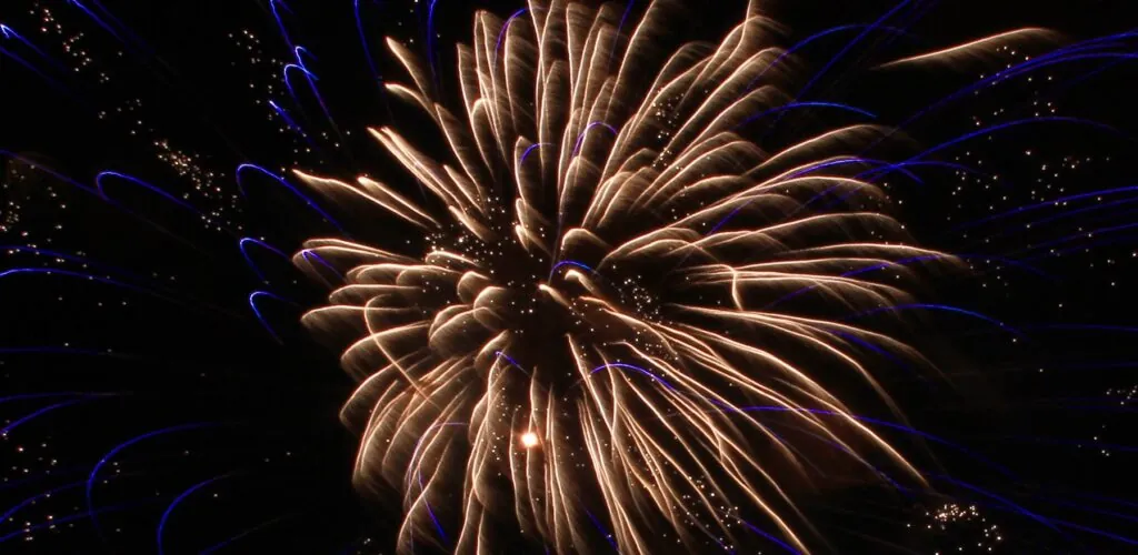 Dublin sagt sein Neujahrsfestival ab