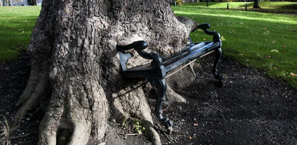 hungry tree