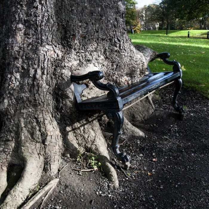 Der Hungry tree - © yuplex