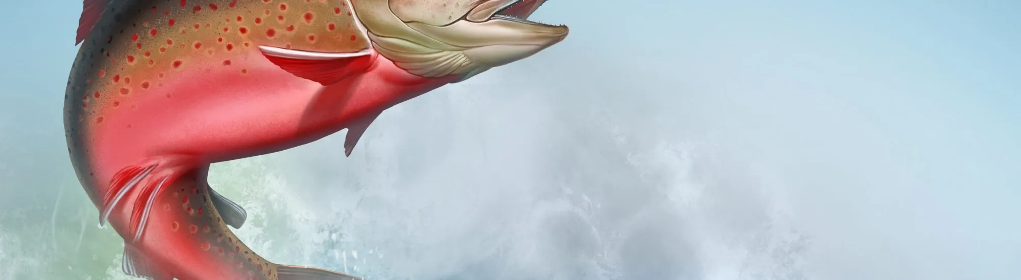 Der Lachs der Erkenntnis
