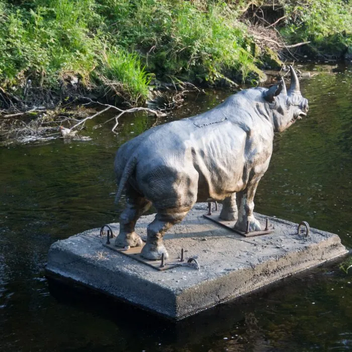 Dodder Rhino 7 Le Dodder Rhino de Dublin - William Murphy - cc