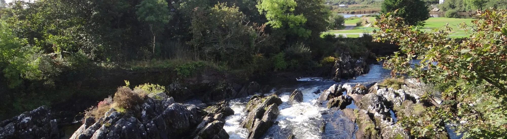 Lomanagh Loop