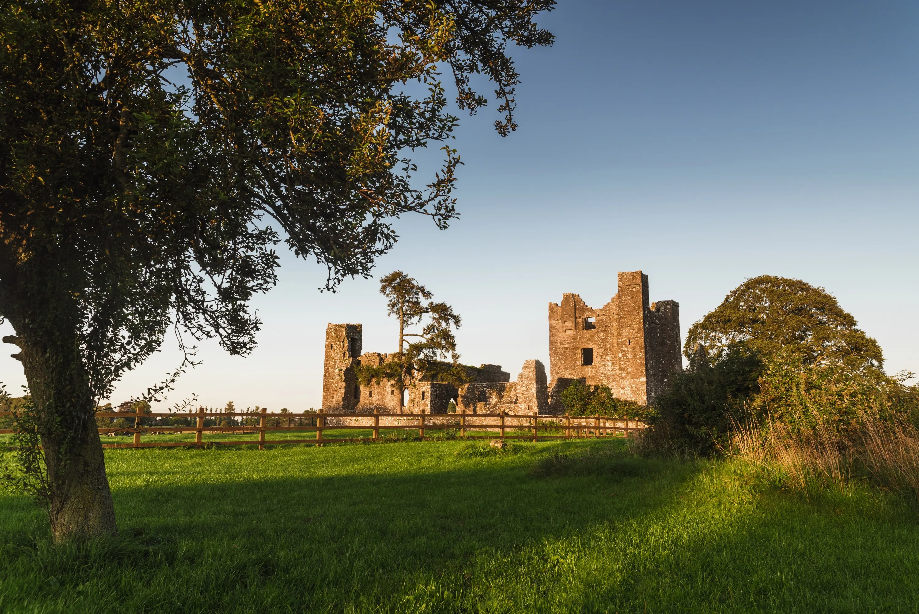 La Bective abbey
