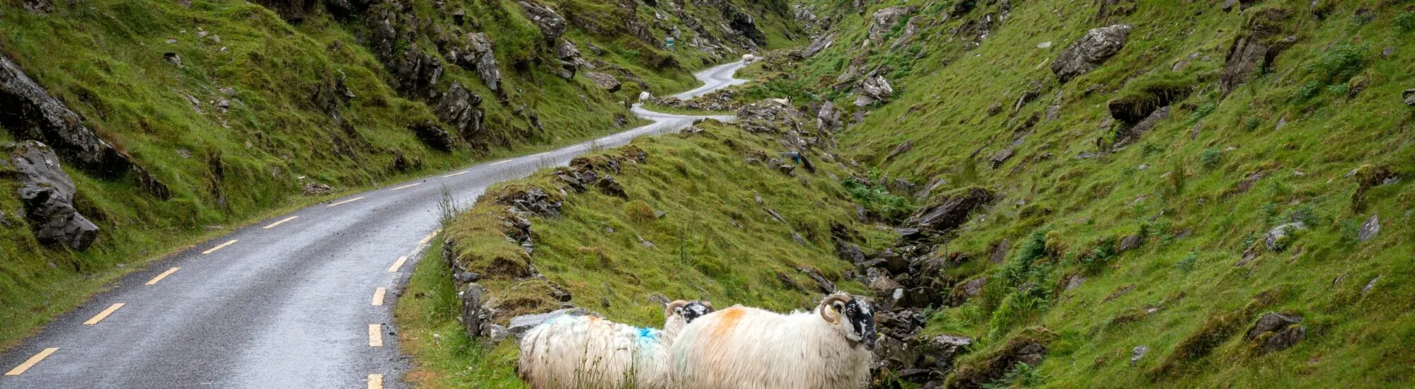 Der Ballaghbeama Gap