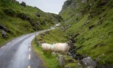 Das Ballaghbeama Gap - © Shawn