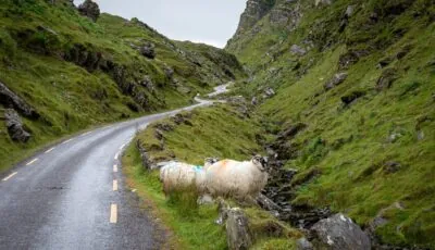 Das Ballaghbeama Gap - © Shawn