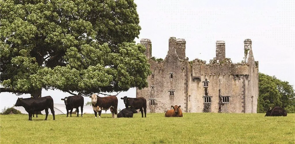 Eine irische Burg aus dem 16. Jahrhundert, zu verkaufen für über 8 Millionen Euro!